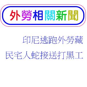 印尼逃跑外勞藏民宅 人蛇接送打黑工